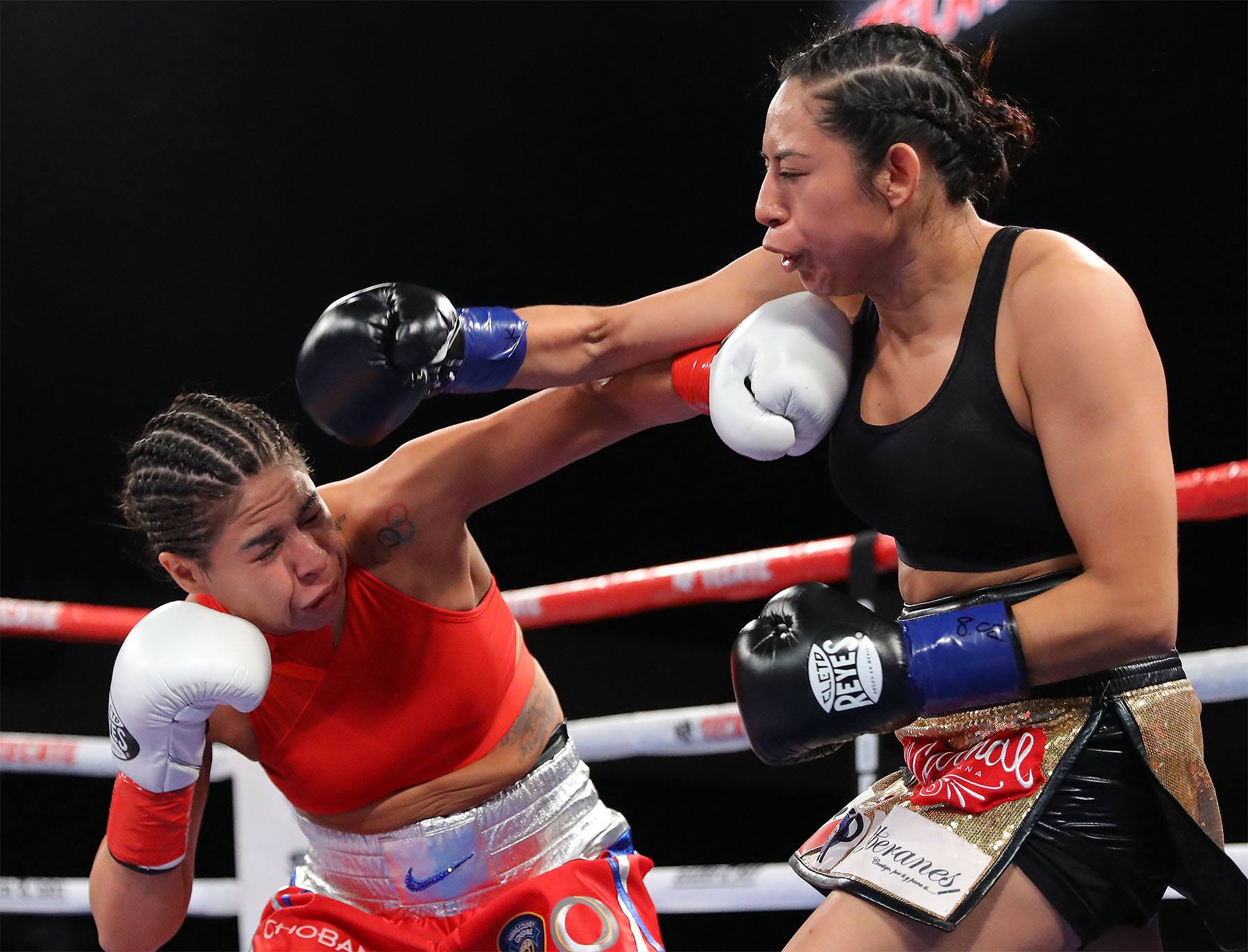 67403036_10156596705345756_6326518128729653248_o | Women of Boxing